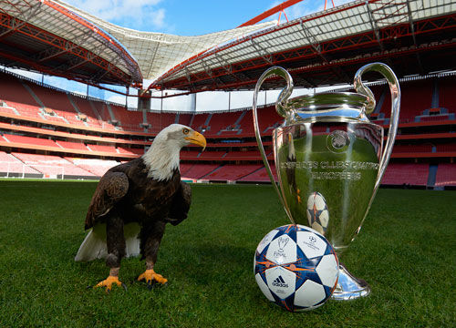 世界杯三个东道主小组赛场地公布：美国队在洛杉矶和西雅图（世界杯三东道主小组赛场地出炉：美国队将征战洛杉矶与西雅图）